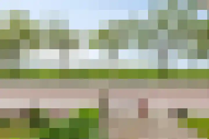 K.J. de Vriezestraat 63 Wildervank thumbnail 6