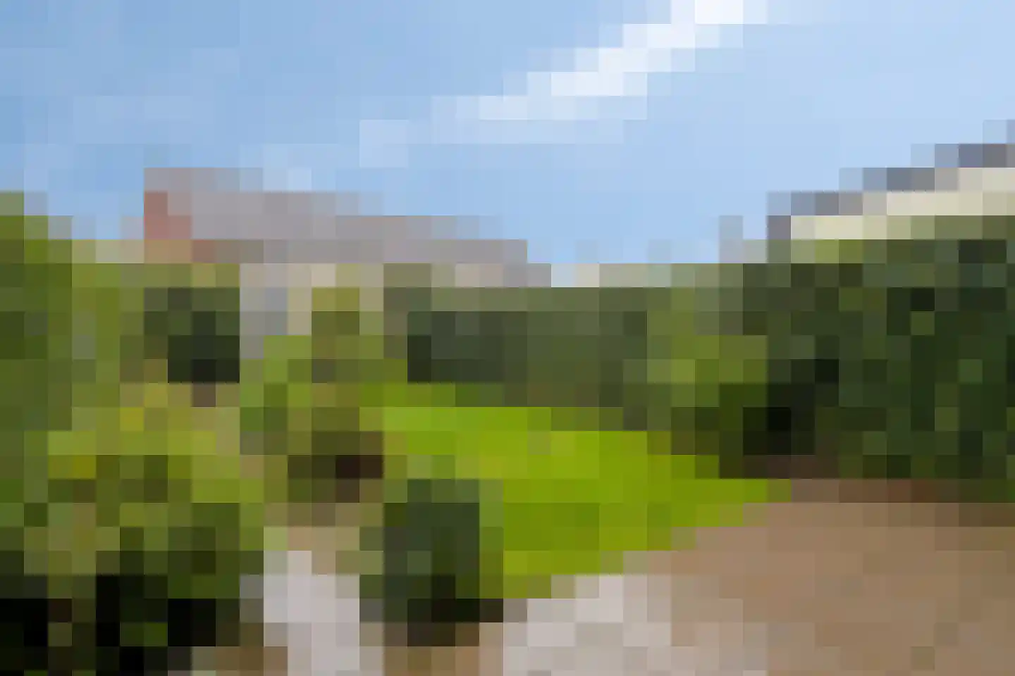 K. Komensingel 11 Spanbroek thumbnail 5