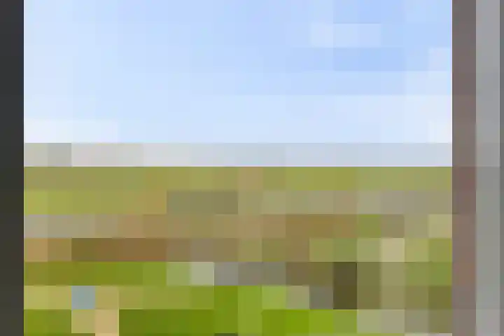 K. Komensingel 3 Spanbroek thumbnail 23