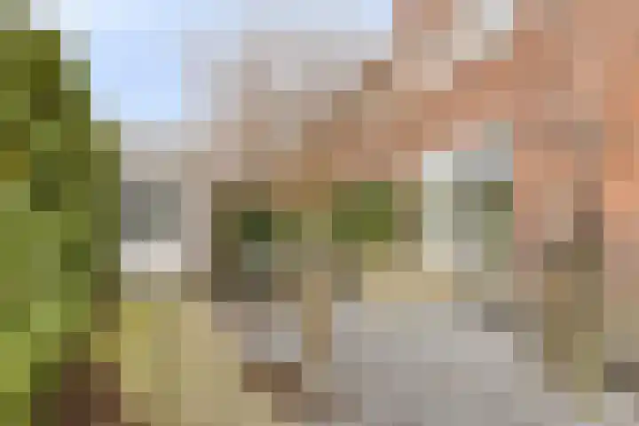K. Komensingel 3 Spanbroek thumbnail 26