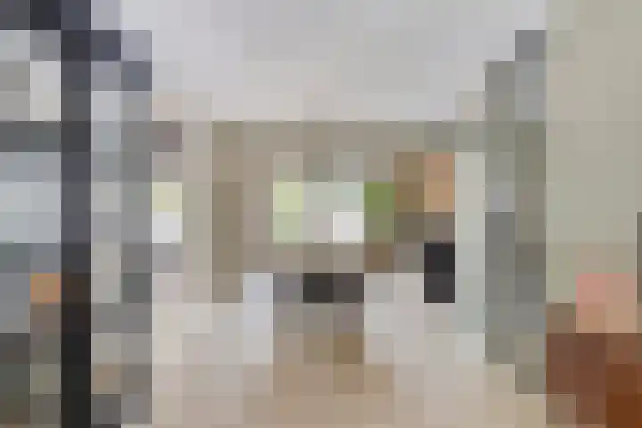 K.L.H. van der Puttlaan 11 Waalre thumbnail 12