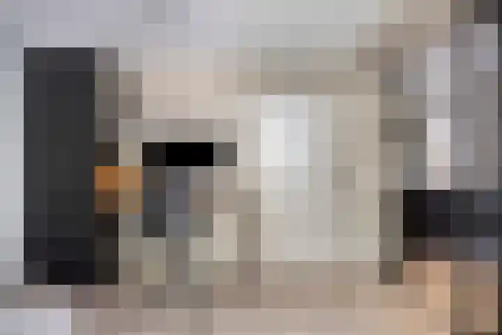 K.L.H. van der Puttlaan 11 Waalre thumbnail 22