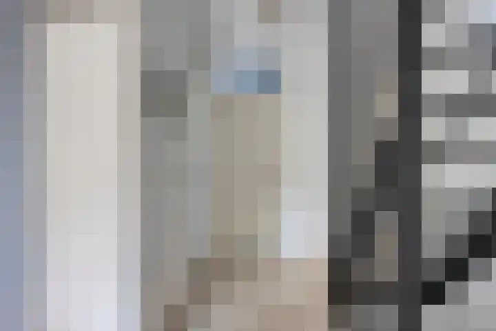 K.L.H. van der Puttlaan 11 Waalre thumbnail 25
