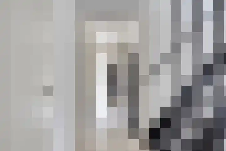 K.L.H. van der Puttlaan 11 Waalre thumbnail 26