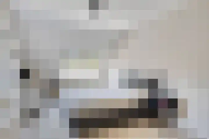 K.L.H. van der Puttlaan 11 Waalre thumbnail 27