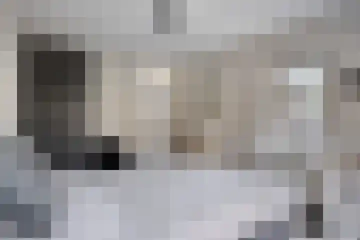 K.L.H. van der Puttlaan 11 Waalre thumbnail 28