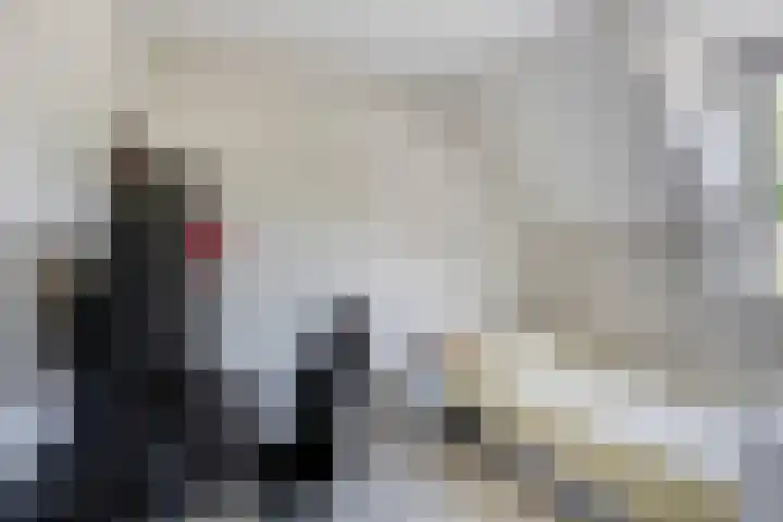 K.L.H. van der Puttlaan 11 Waalre thumbnail 33