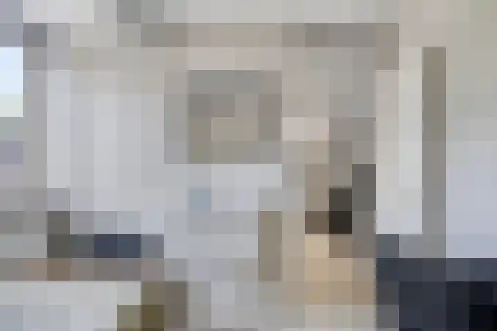 K.L.H. van der Puttlaan 11 Waalre thumbnail 34
