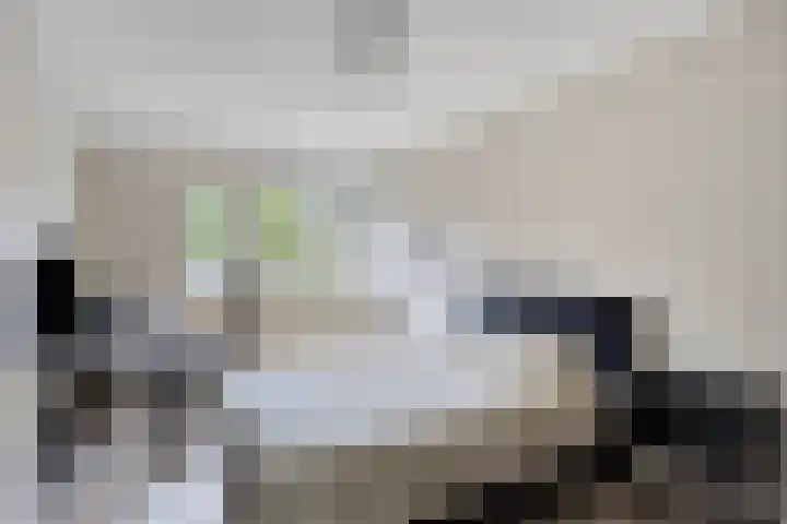 K.L.H. van der Puttlaan 11 Waalre thumbnail 35