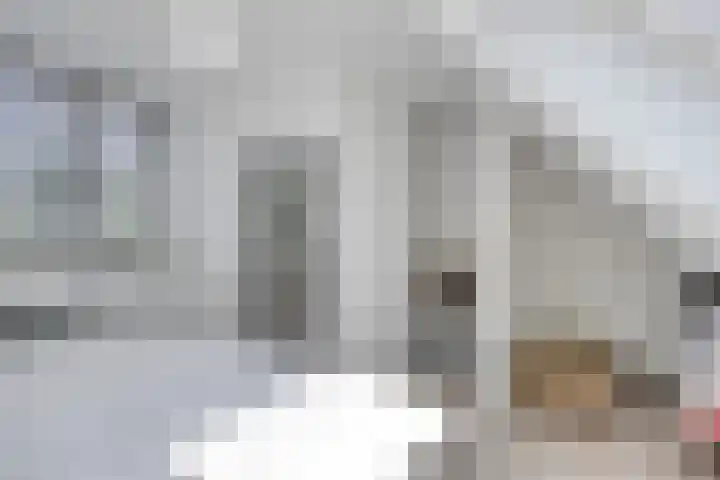 K.L.H. van der Puttlaan 11 Waalre thumbnail 40