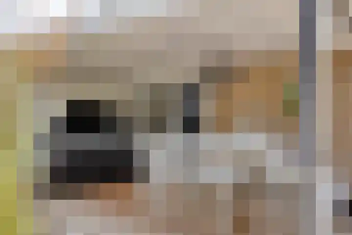 K.L.H. van der Puttlaan 11 Waalre thumbnail 44