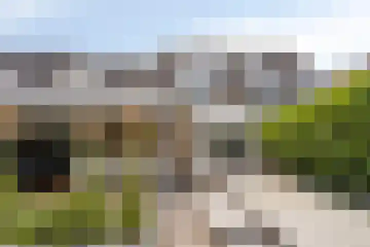 K.L.H. van der Puttlaan 11 Waalre thumbnail 47