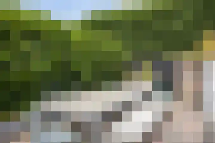K.L.H. van der Puttlaan 11 Waalre thumbnail 48