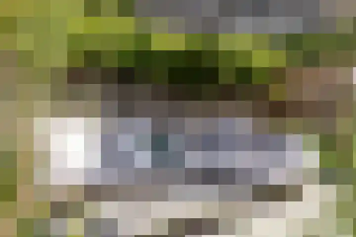 K.L.H. van der Puttlaan 11 Waalre thumbnail 49