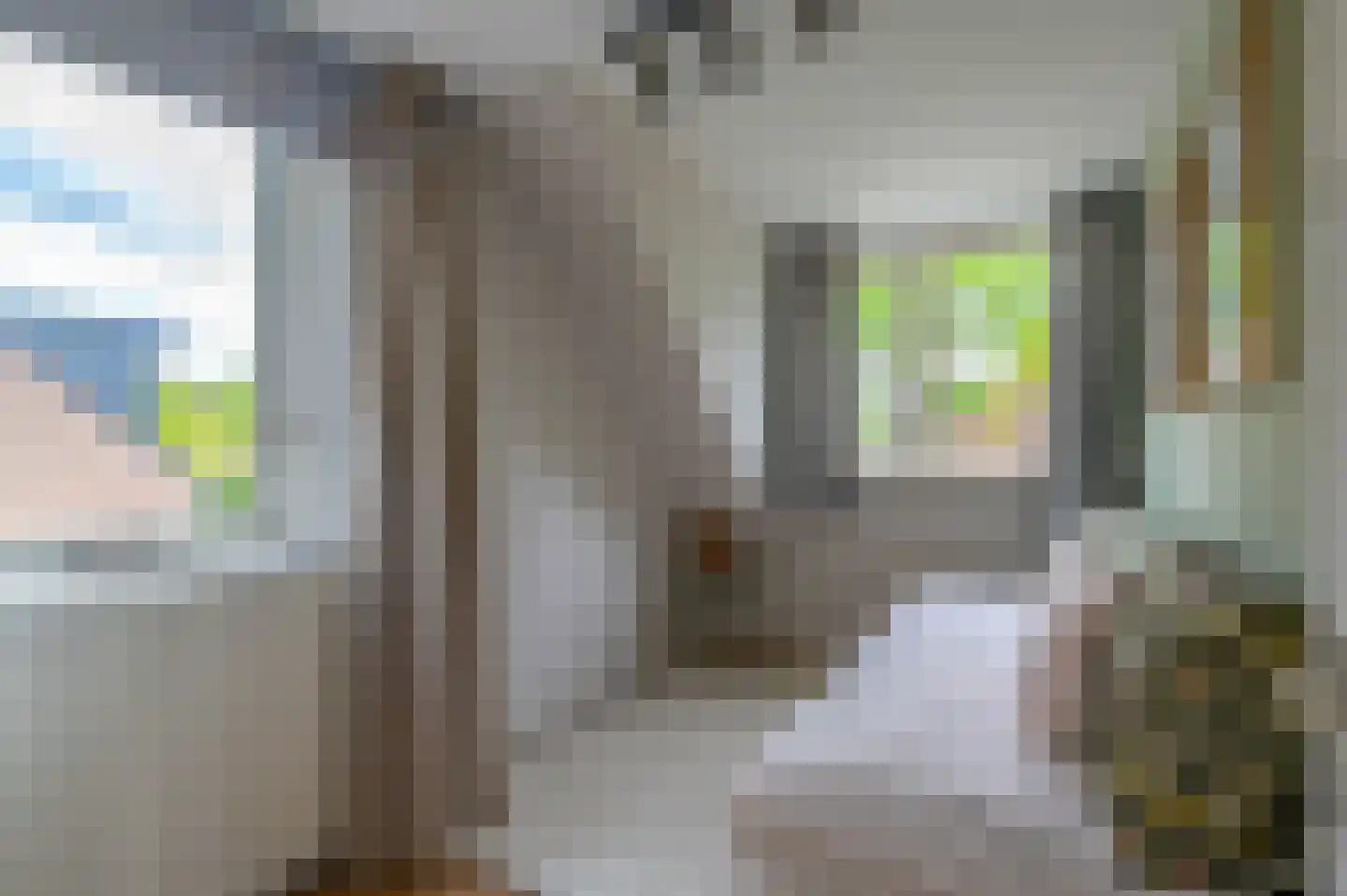 K.L.H. van der Puttlaan 15 Waalre thumbnail 13
