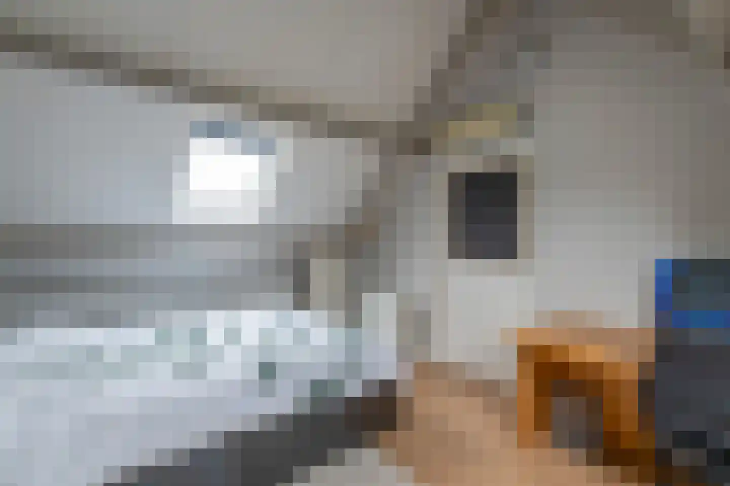 K.L.H. van der Puttlaan 15 Waalre thumbnail 20