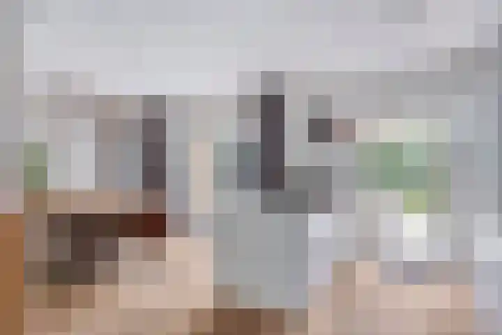 K.L.H. van der Puttlaan 8 Waalre thumbnail 13