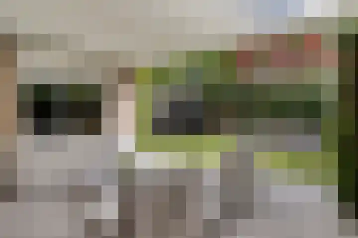 K.L.H. van der Puttlaan 8 Waalre thumbnail 32