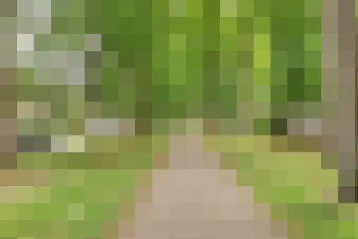 K.L.H. van der Puttlaan 8 Waalre thumbnail 36