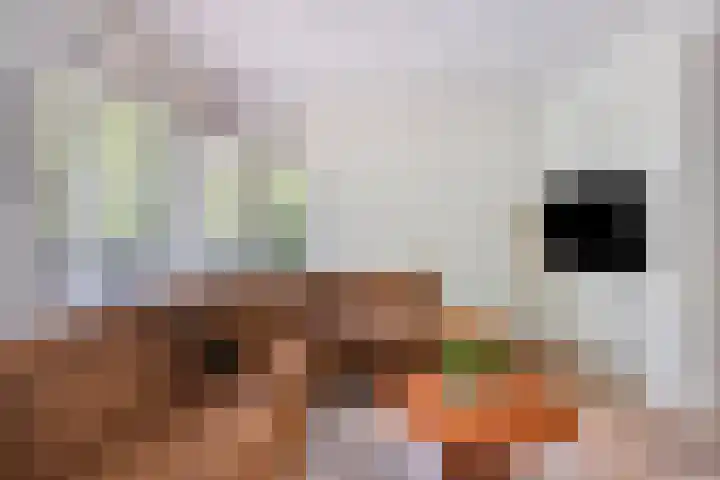 K.L.H. van der Puttlaan 8 Waalre thumbnail 9