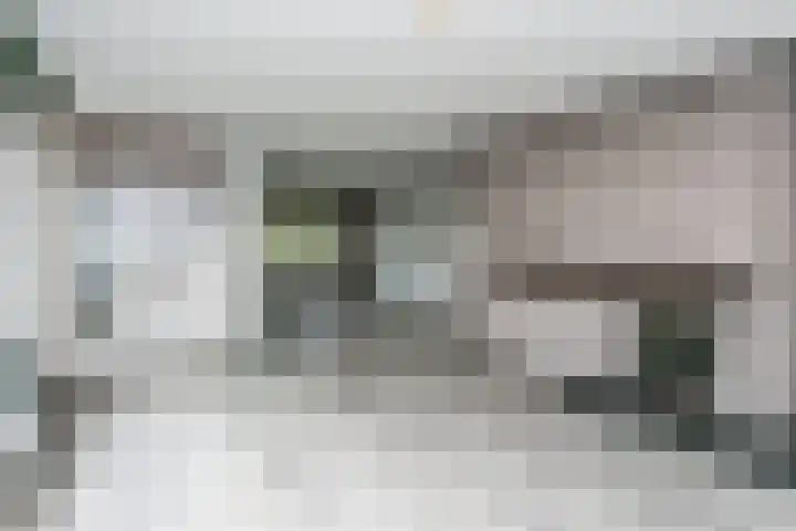 K.L.M.-straat 22 Heerlen thumbnail 10