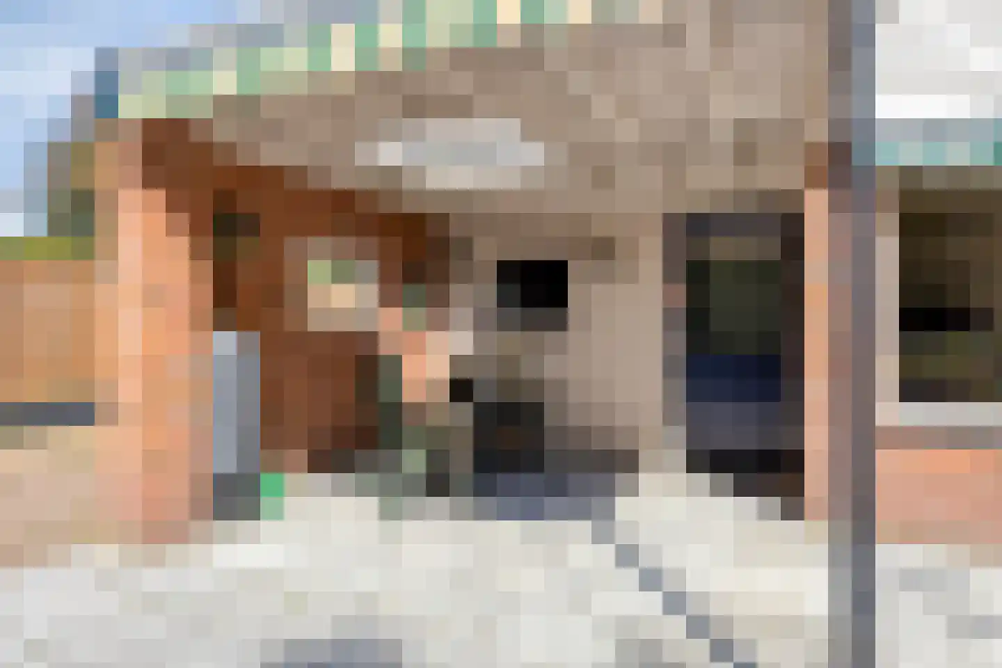 K. Lantermansplein 11 Zetten thumbnail 37