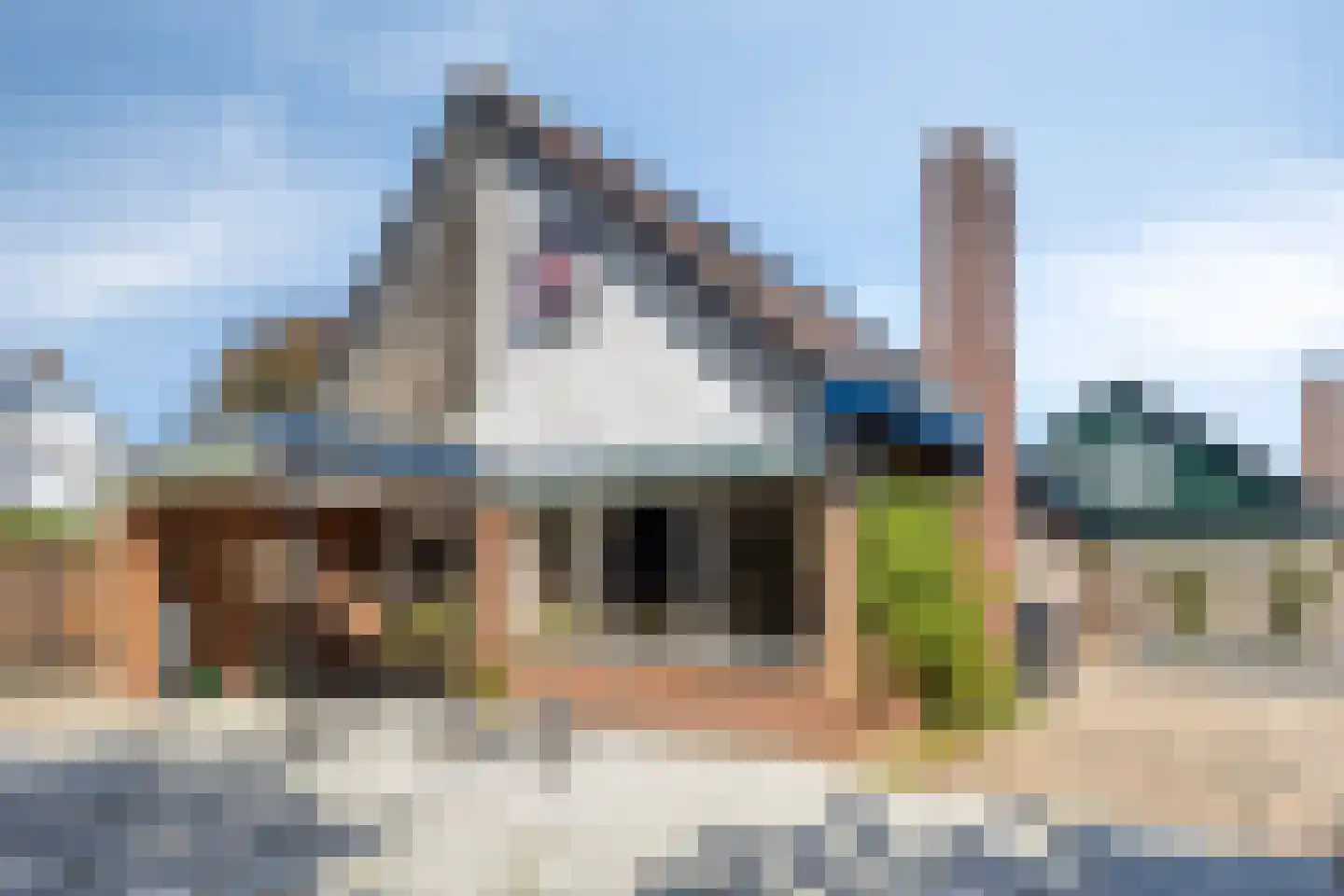 K. Lantermansplein 11 Zetten thumbnail 38