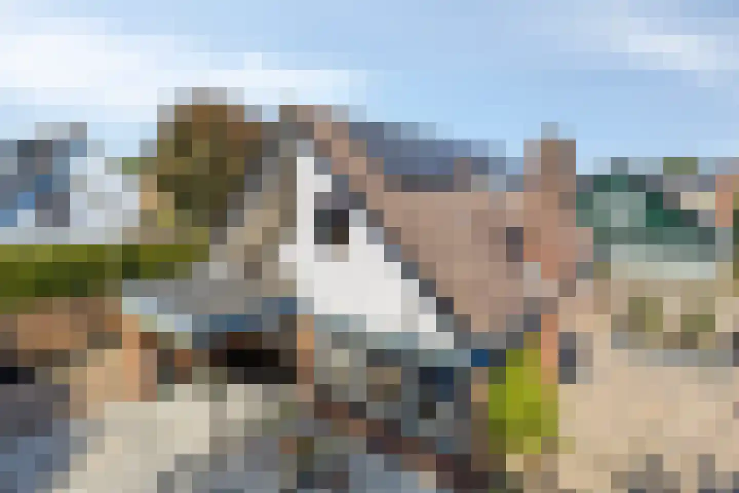 K. Lantermansplein 11 Zetten thumbnail 43