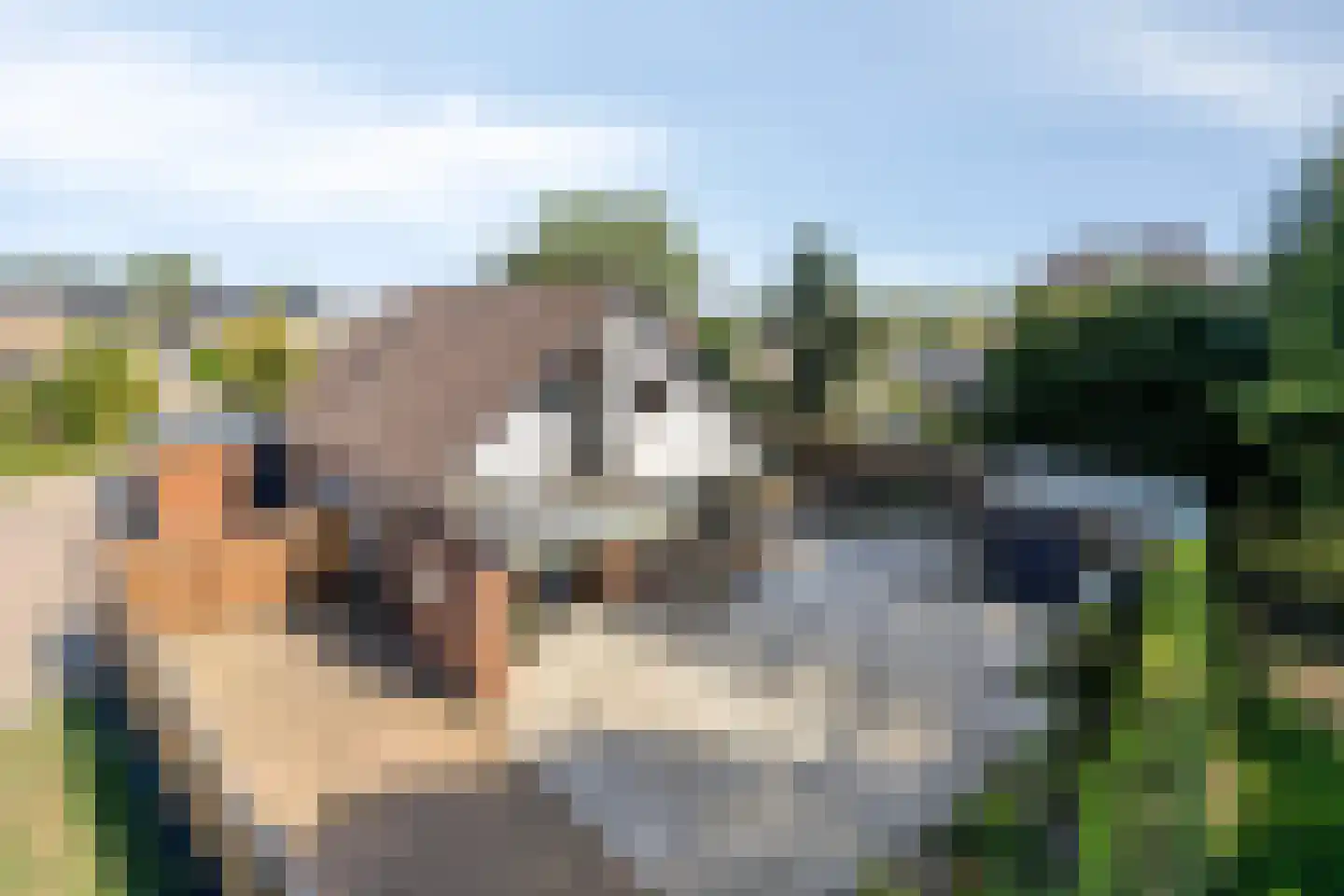 K. Lantermansplein 11 Zetten thumbnail 44