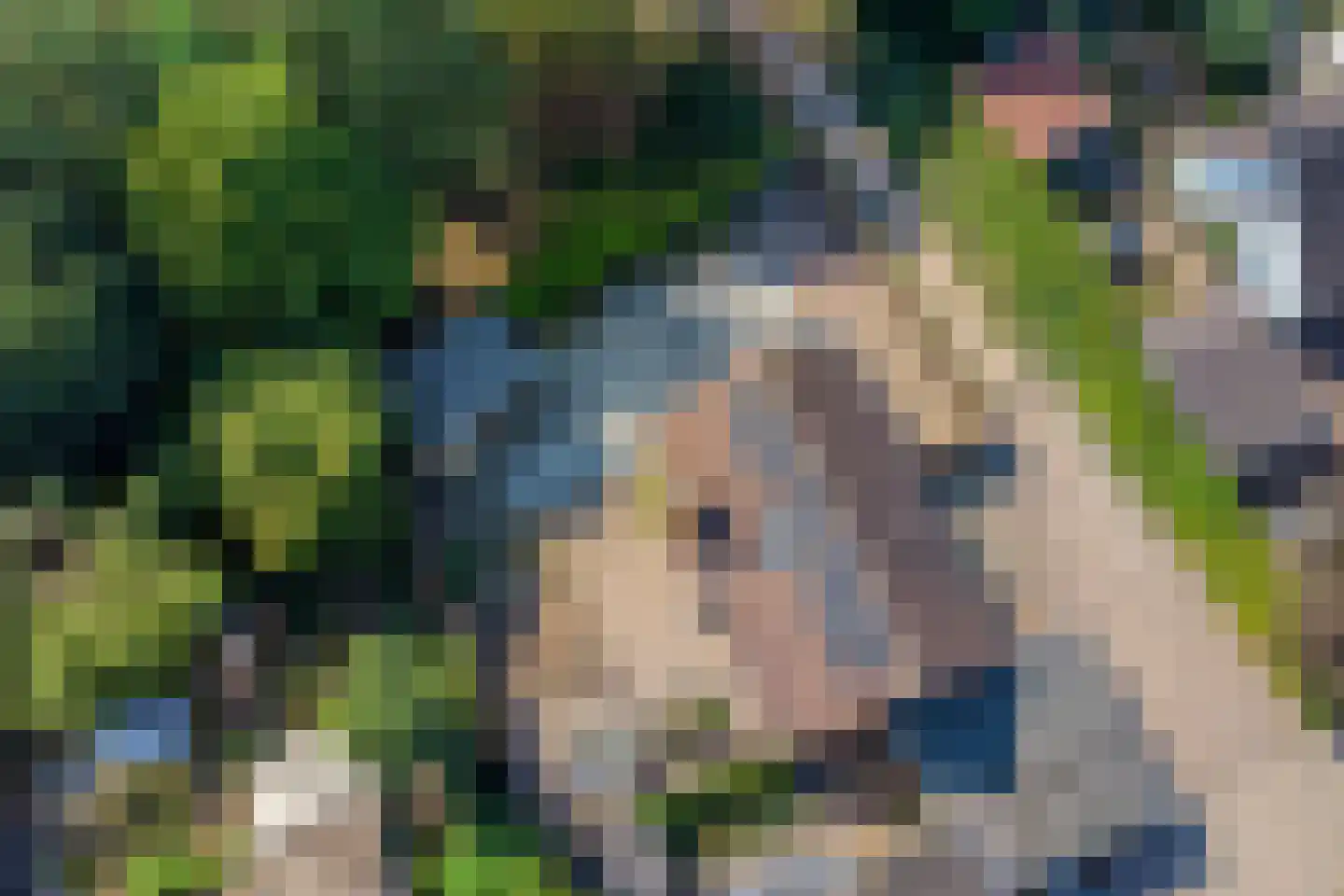 K. Lantermansplein 11 Zetten thumbnail 47