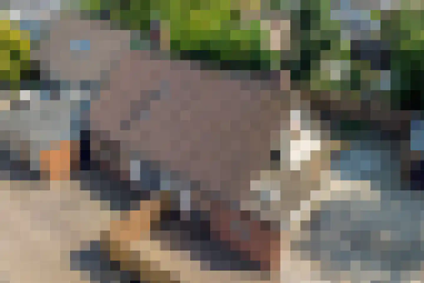 K. Lantermansplein 11 Zetten thumbnail 9
