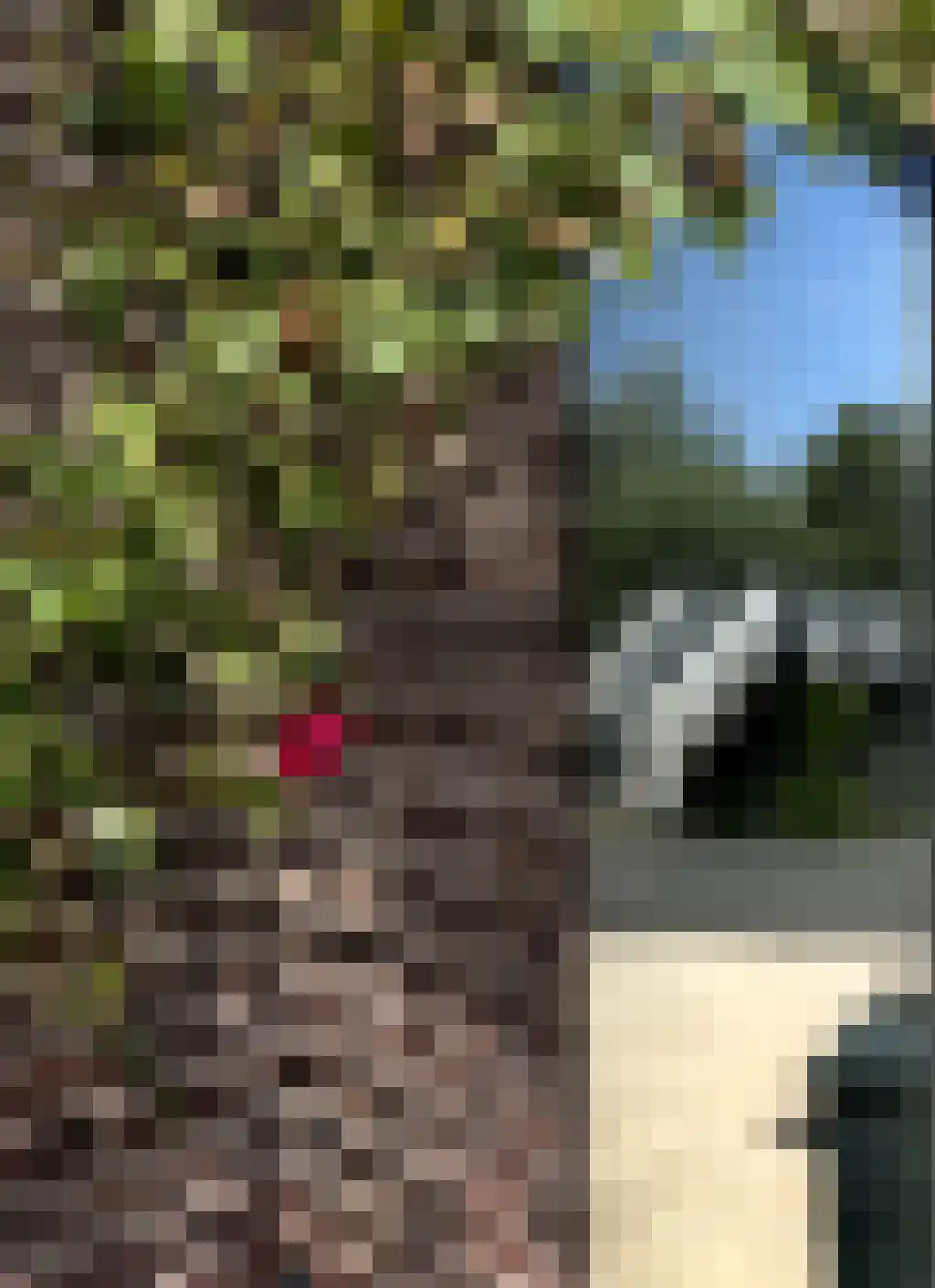 K Linschoten Westzijde 32 Linschoten thumbnail 6
