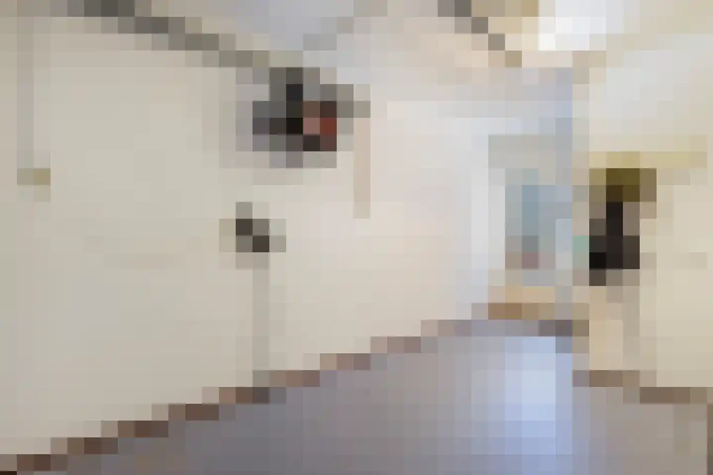 K Linschoten Westzijde 6 Linschoten thumbnail 15