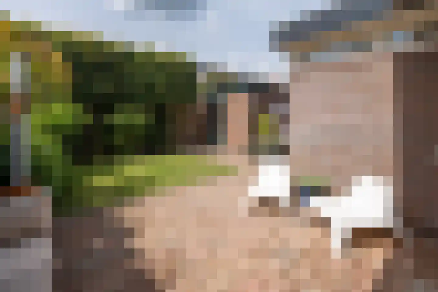 K.P.C. de Bazelstraat 116 Bussum thumbnail 37