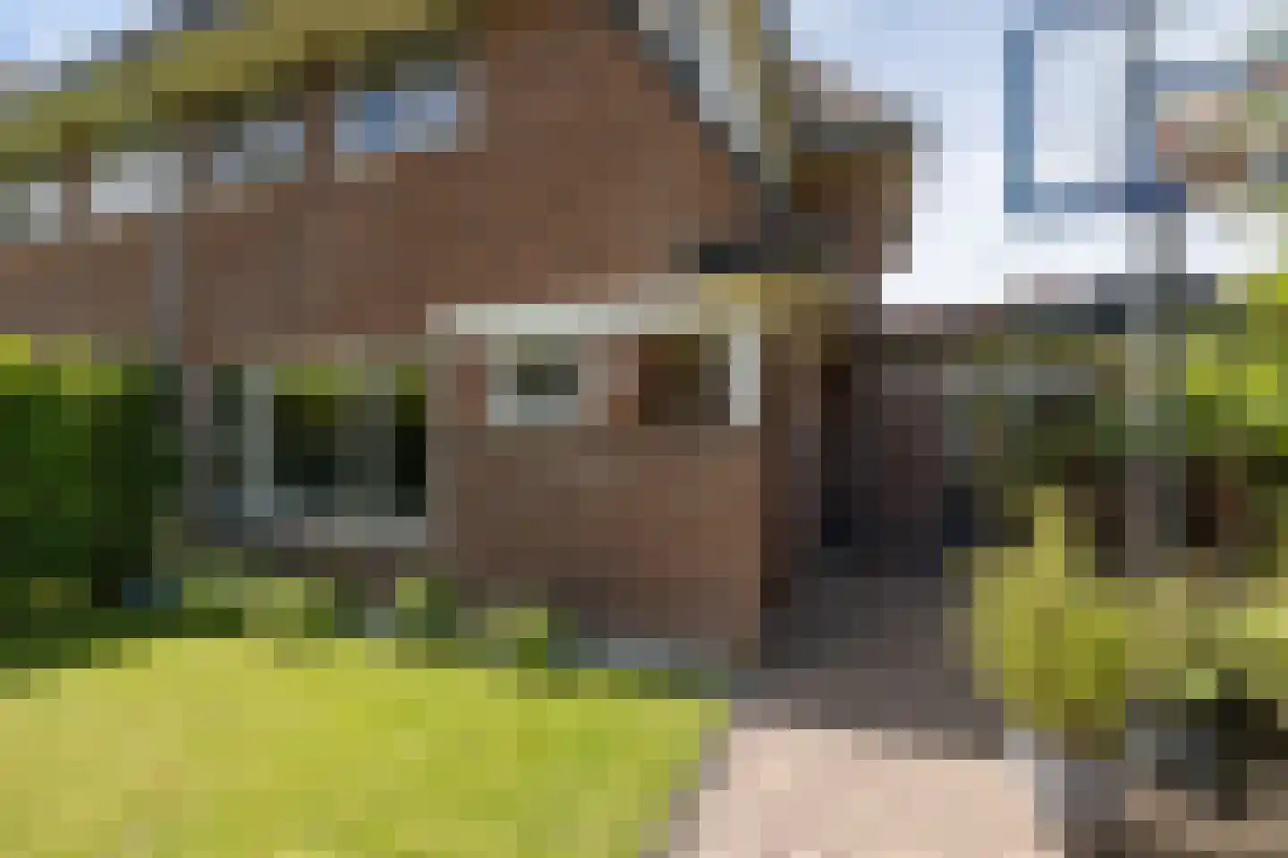 K.P.C. de Bazelstraat 116 Bussum thumbnail 47