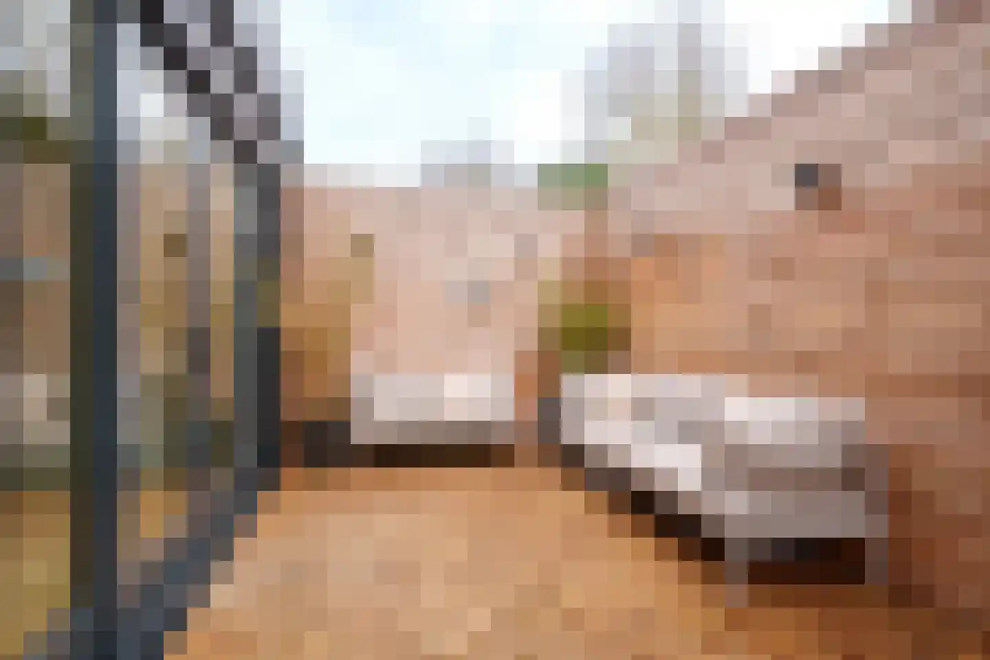 K.P.C. de Bazelstraat 23 Bussum thumbnail 4