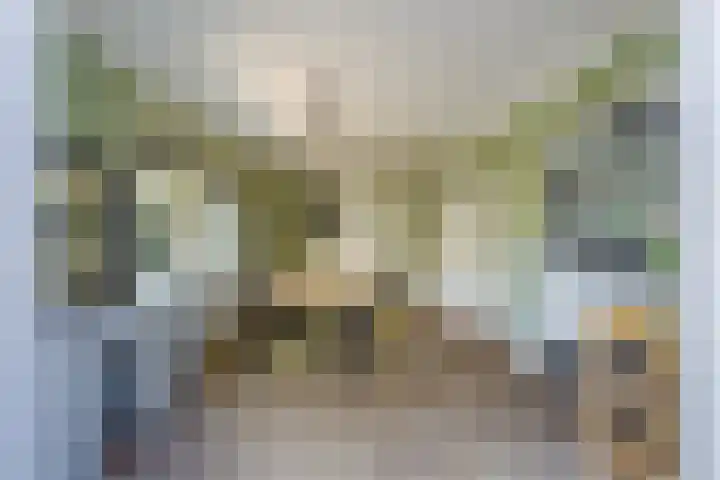 K.P.C. de Bazelstraat 57 Bussum thumbnail 18