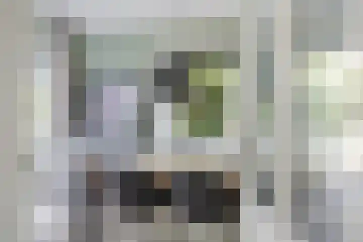 K.P.C. de Bazelstraat 57 Bussum thumbnail 7