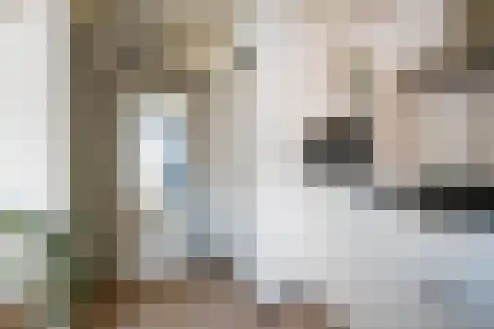 K.P.van der Veldestraat 33 Neede thumbnail 7