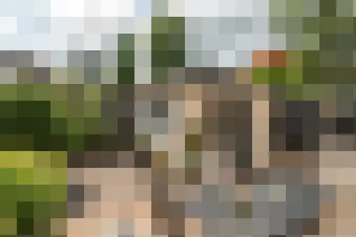 K R Poststraat 24 Heerenveen thumbnail 39