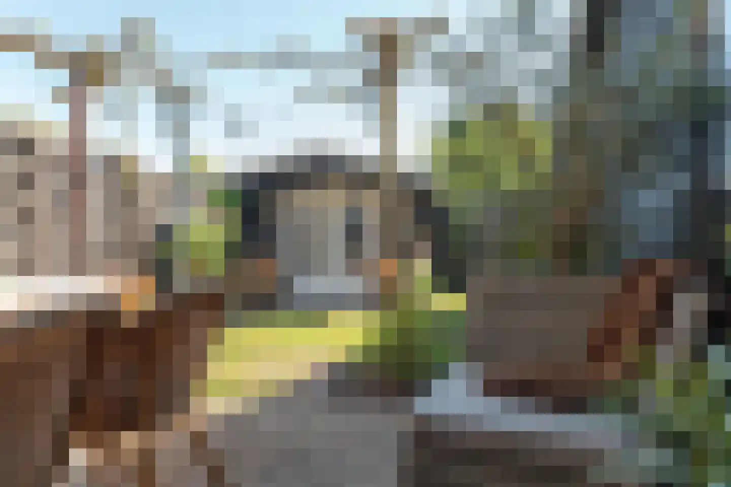 K R Poststraat 32 Heerenveen thumbnail 36