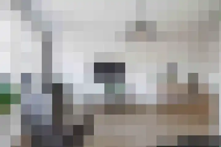 K. ter Laanstraat 10 Winsum thumbnail 10