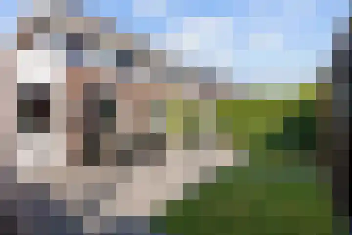 K. ter Laanstraat 10 Winsum thumbnail 48