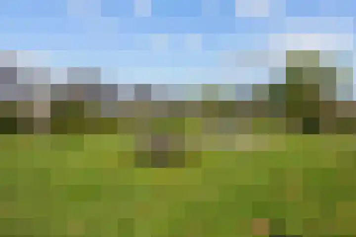 K. ter Laanstraat 10 Winsum thumbnail 54