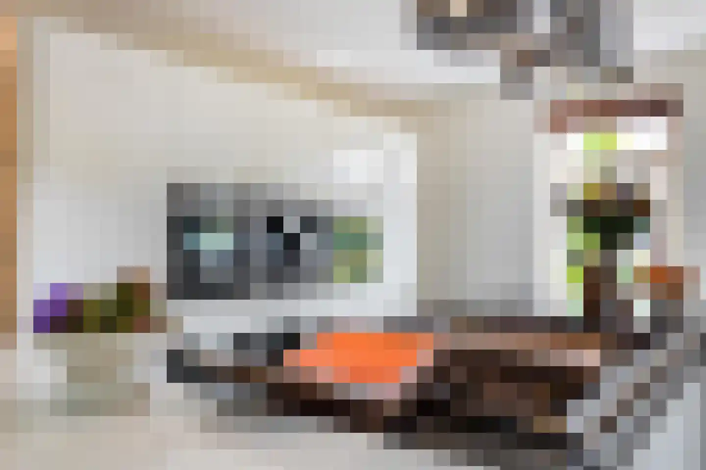 K. ter Laanstraat 31 Winsum thumbnail 22