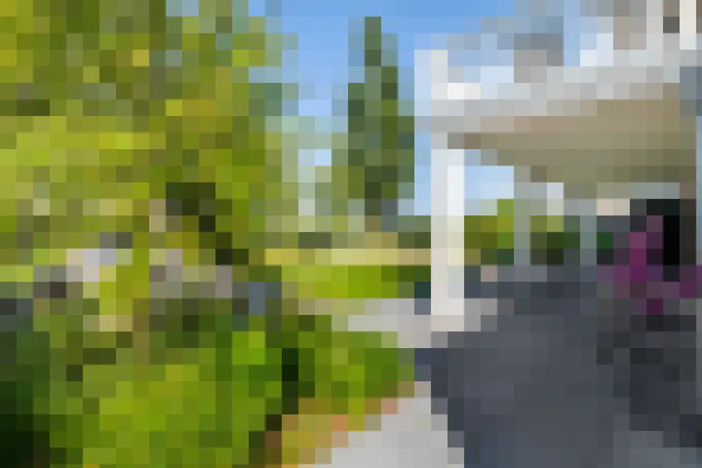 K. ter Laanstraat 31 Winsum thumbnail 29