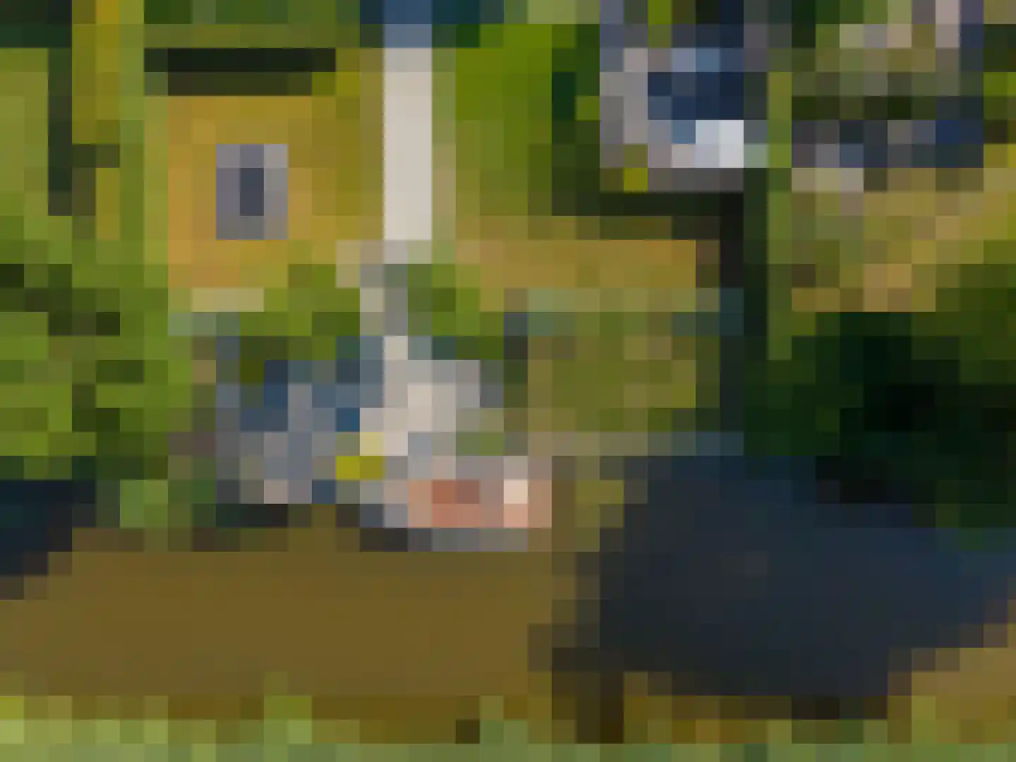 K. ter Laanstraat 31 Winsum thumbnail 4