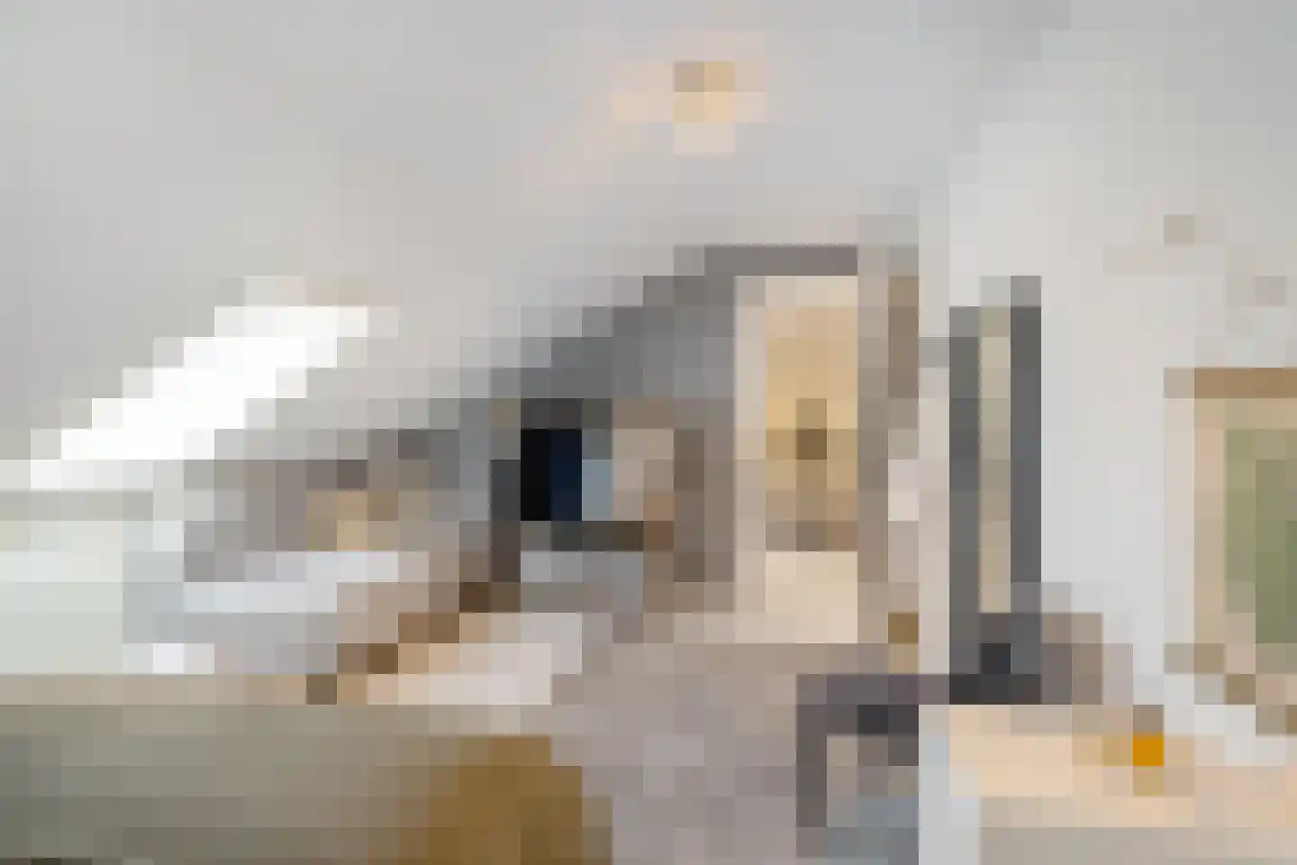 K. ter Laanstraat 31 Winsum thumbnail 73