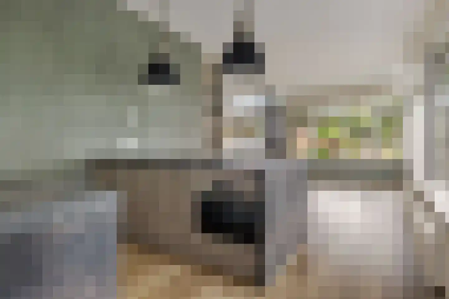 K. ter Laanstraat 33 Slochteren thumbnail 22