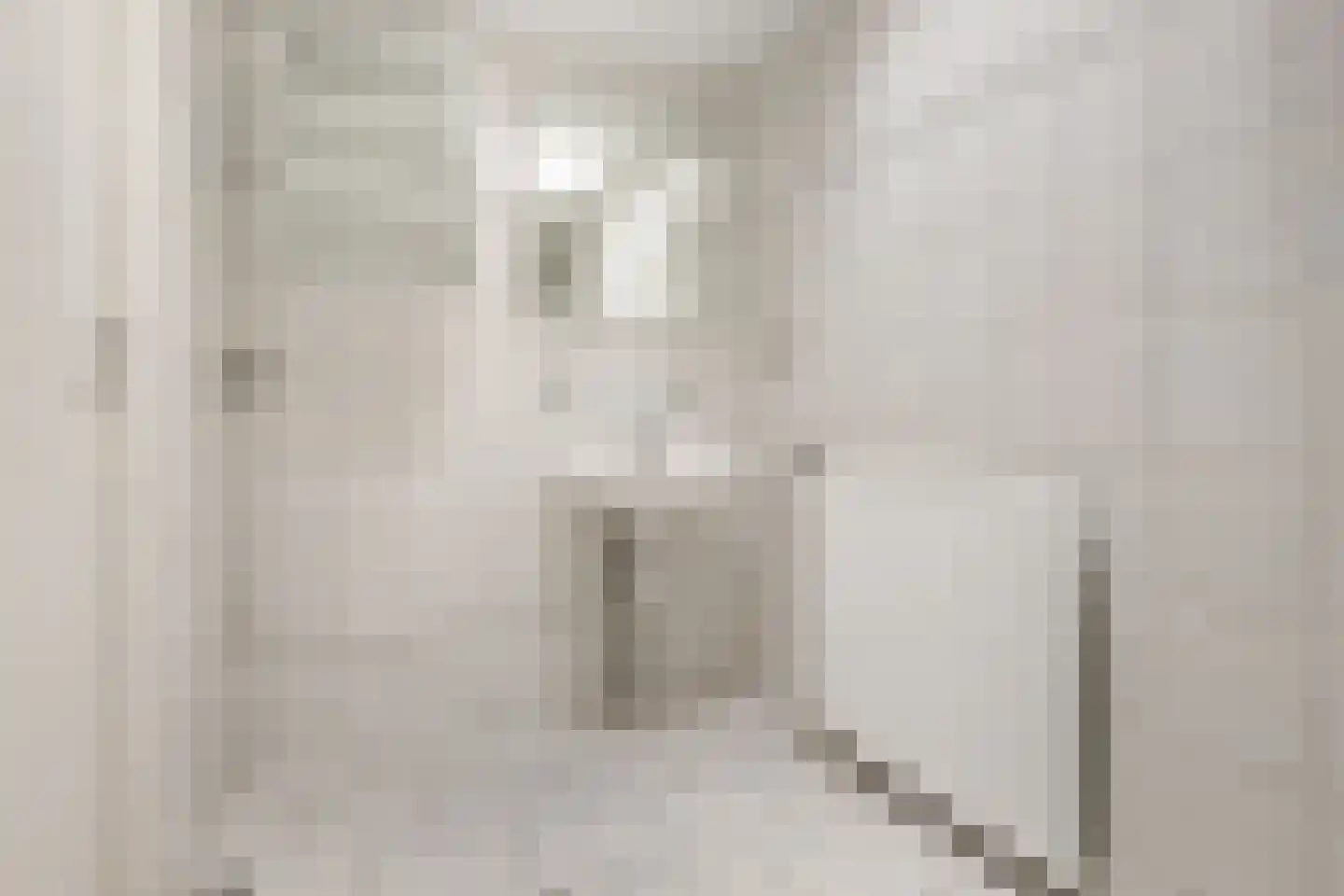 K. ter Laanstraat 33 Slochteren thumbnail 30